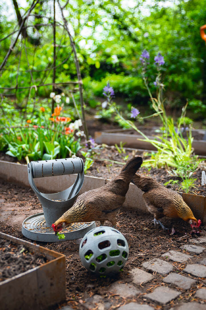 beeztees Hühner Snackball